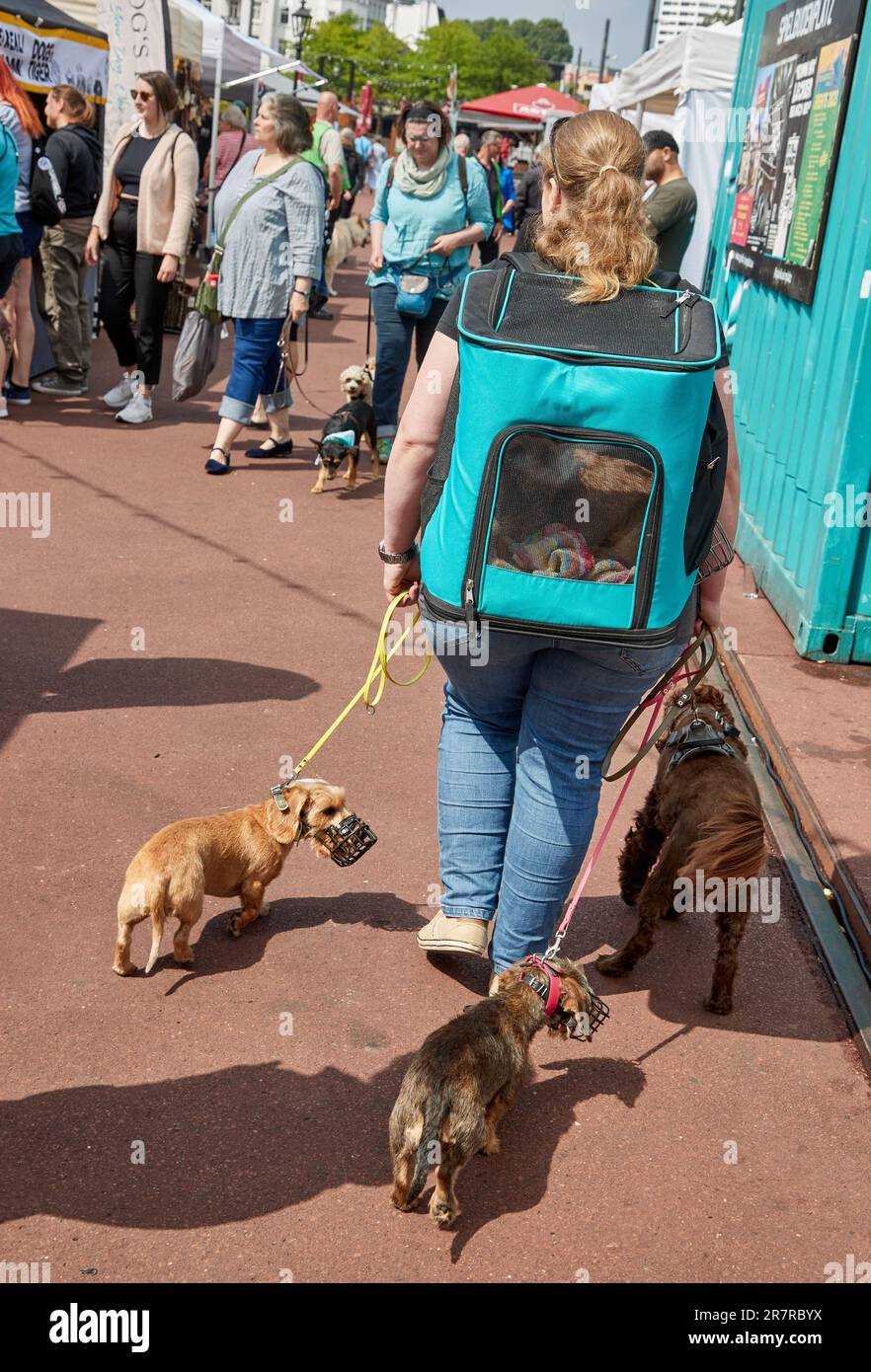 Neuste Trends und Innovationen für Hundehalter